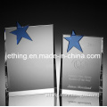 Star Wedge Crystal Award (2011)